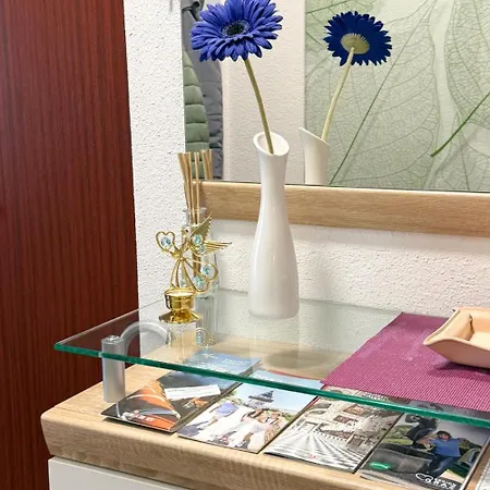 Komfortables Appartement/garconniere In Fuer Urlaub Und Geschaeftsreisen Apartamento Graz