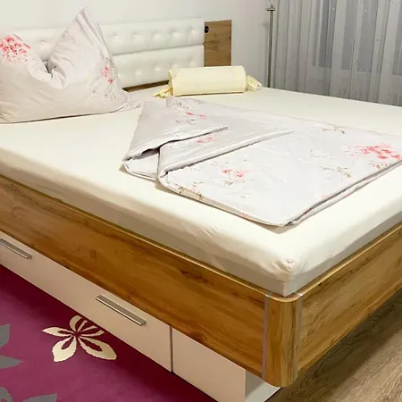 Appartamento Komfortables Appartement/garconniere In Fuer Urlaub Und Geschaeftsreisen Graz