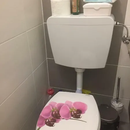 Komfortables Appartement/garconniere In Fuer Urlaub Und Geschaeftsreisen Appartement