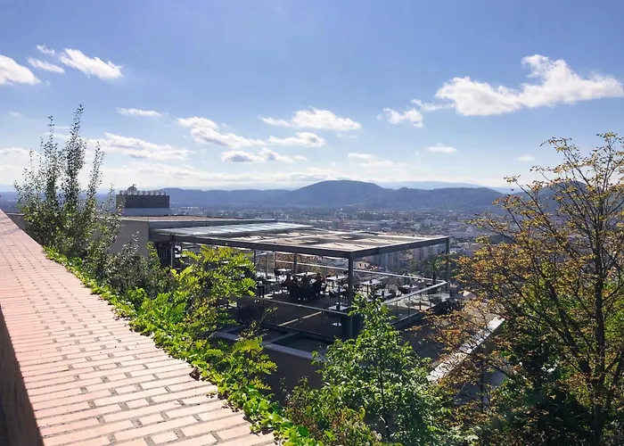 Komfortables Appartement/garconniere In Fuer Urlaub Und Geschaeftsreisen * Graz