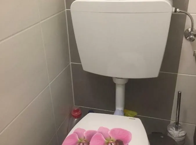 Komfortables Appartement/garconniere In Fuer Urlaub Und Geschaeftsreisen Appartement